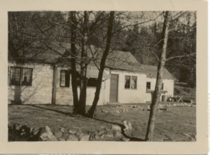 George Adams’ cottage “Sealeigh” at Tunstall Bay showing stone patio and rockeries in the foreground. ca. 1940’s