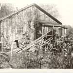 George Coombes’ board and batten cottage, “Glen Alder”. ca. 1940